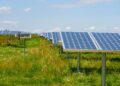 Biodiversität in Solarparks (depositphotos.com)