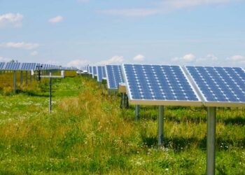 Biodiversität in Solarparks (depositphotos.com)