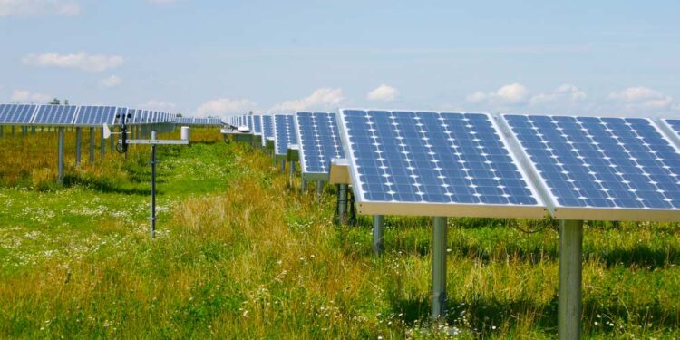 Biodiversität in Solarparks (depositphotos.com)