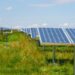 Biodiversität in Solarparks (depositphotos.com)